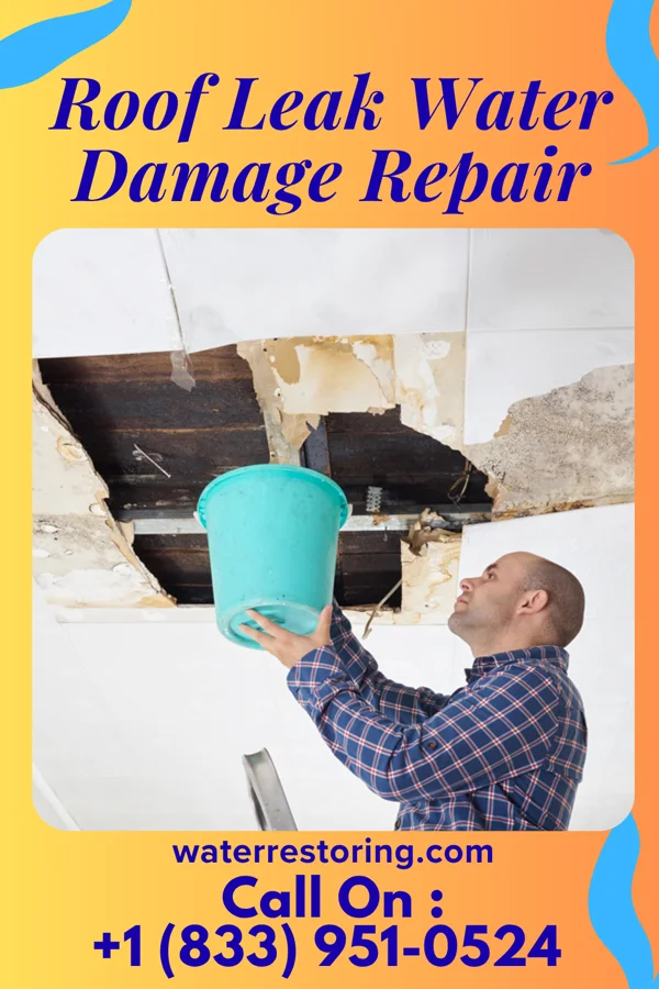 Roof Leak Water Damage Repair in Kendall West, FL