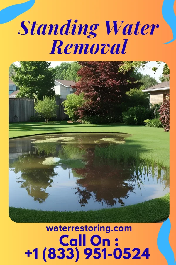 Standing Water Removal in Kendall West, FL